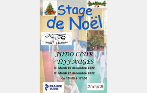 Stage Judo de Noël